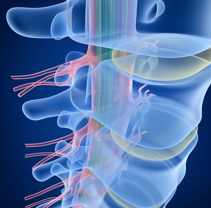 Câncer de coluna: sintomas, causas e tratamentos - Cirurgião da Coluna
